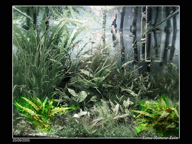 cryptowendtii